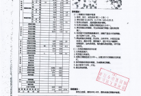 患者检查报告